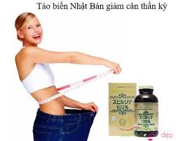 tảo biển giảm cân