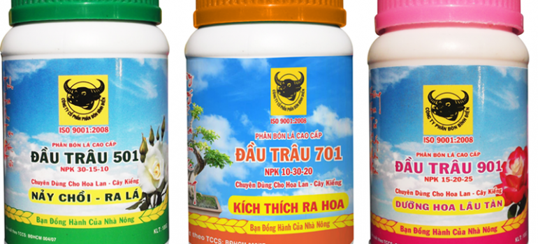 thuốc kích thích sinh trưởng đầu trâu